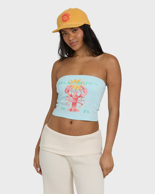Cocoa Tube Top