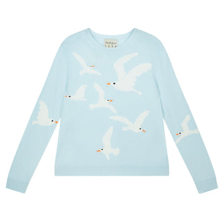 V1_Pale Blue_Cloud Dancer_Black_Pumpkin
