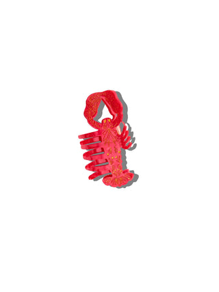 Lobster Claw Hair Clip