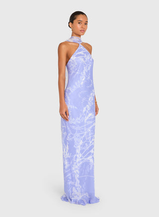 Ashton Maxi